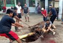 Penyembelihan hewan kurban LDII Lumajang 2026 di masjid bawah naungan DPD LDII