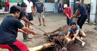 Penyembelihan hewan kurban LDII Lumajang 2026 di masjid bawah naungan DPD LDII