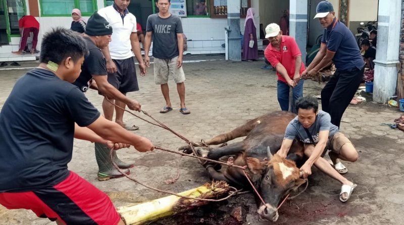 Penyembelihan hewan kurban LDII Lumajang 2026 di masjid bawah naungan DPD LDII